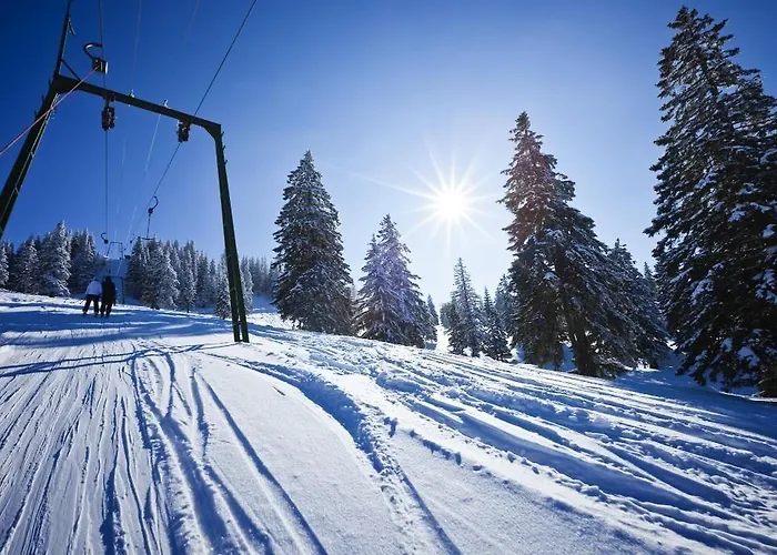 Résidence Carlina By Les Etincelles 4*